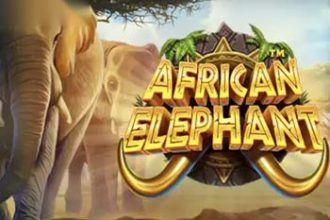 African Elephant